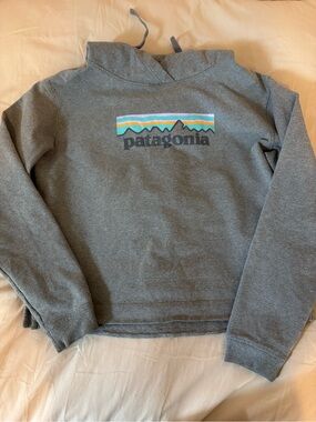 Patagonia gray hoodie with multicolor mountain logo